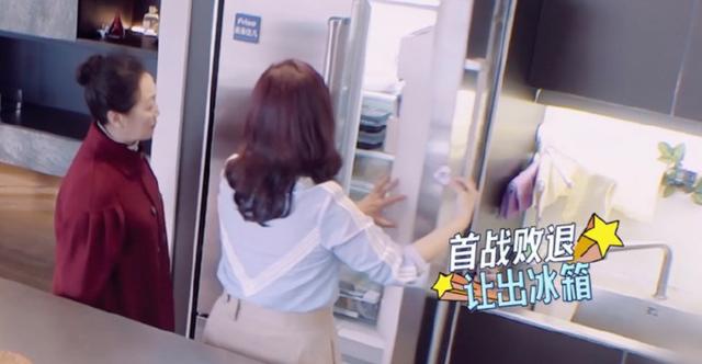 陈松伶上节目说自己不能生育（陈松伶因为不能生育被婆婆刁难）(9)