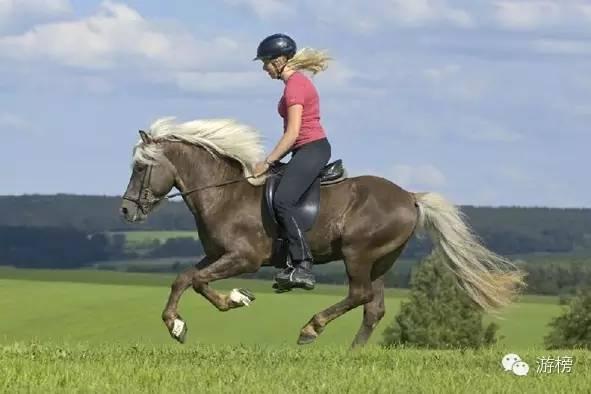 北京马术俱乐部（榜单京城马术俱乐部排行榜）(7)