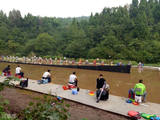 网络图片(侵删)