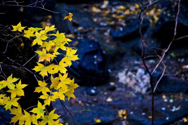 王维山水田园诗30首（王维的一首田园诗）(2)