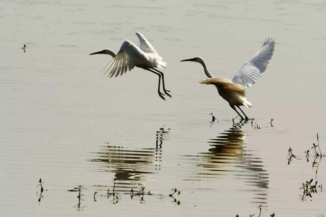 王维山水田园诗30首（王维的一首田园诗）(6)
