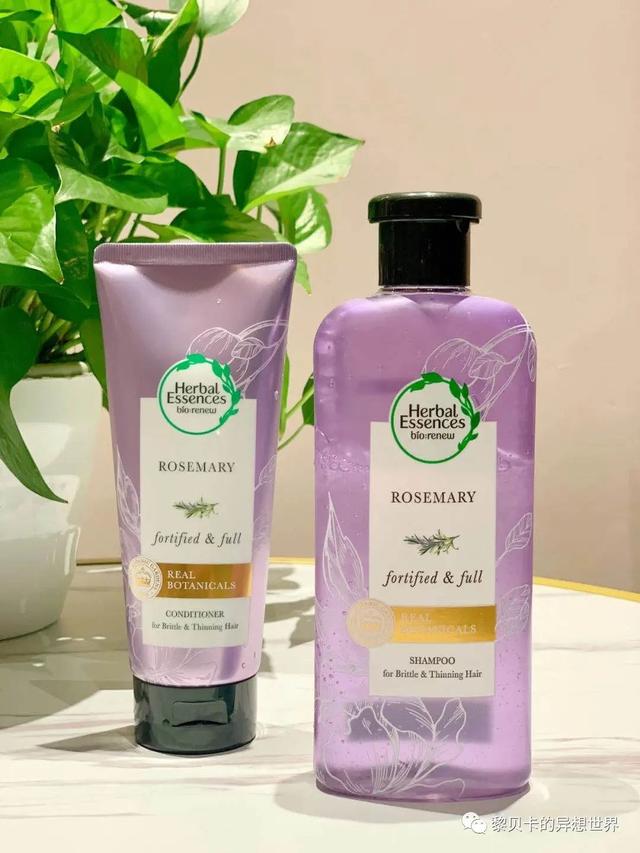 十大最劲爆的综艺(推广今年最火的三档综艺)(20)