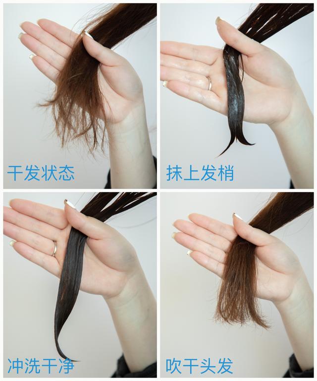 十大最劲爆的综艺(推广今年最火的三档综艺)(19)