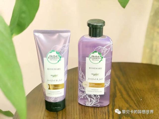 十大最劲爆的综艺(推广今年最火的三档综艺)(17)