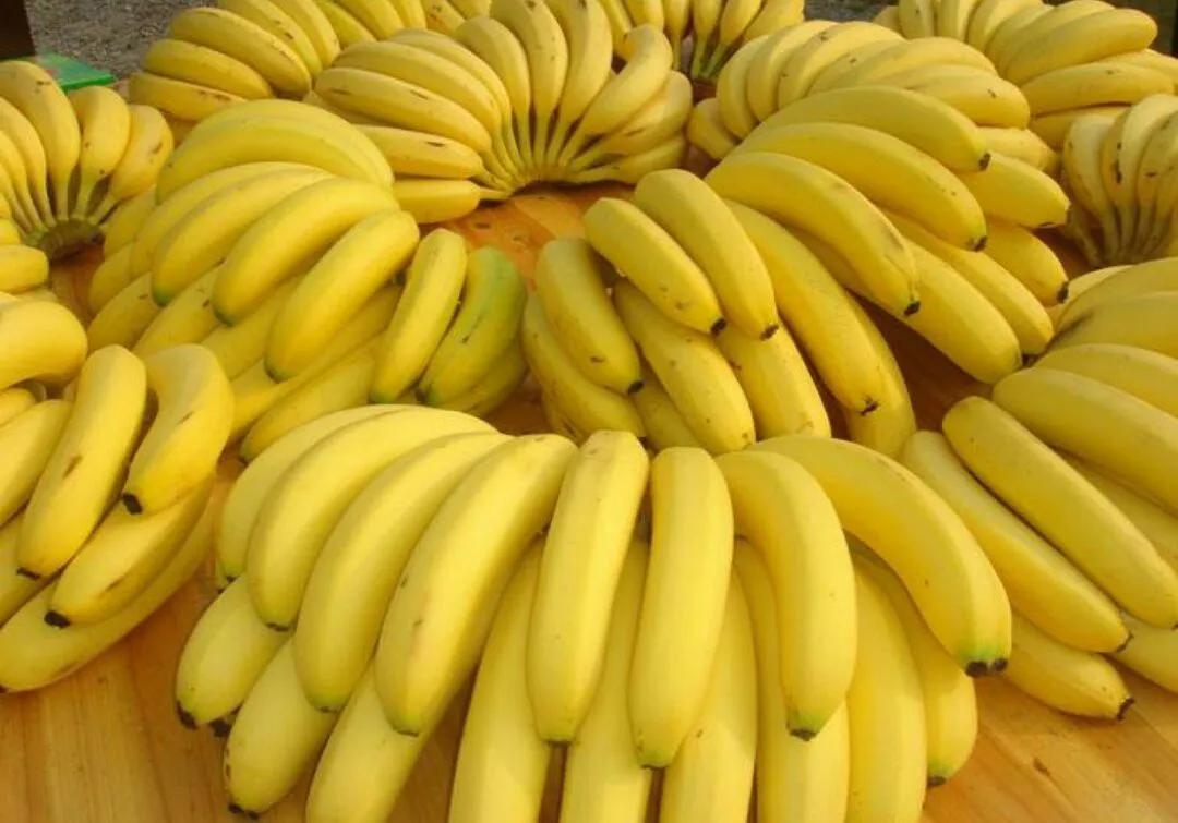 水果的品种及名称大全(水果品种大全名字)(图6) 水果的品种及名称大全(水果品种大全名字)(图6)