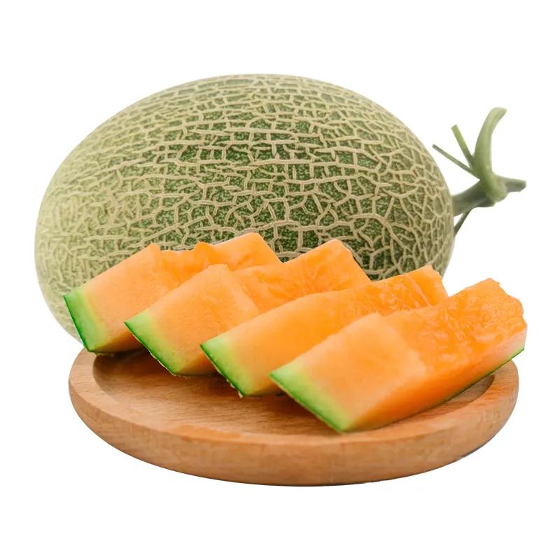 水果的品种及名称大全(水果品种大全名字)(图13) 水果的品种及名称大全(水果品种大全名字)(图13)