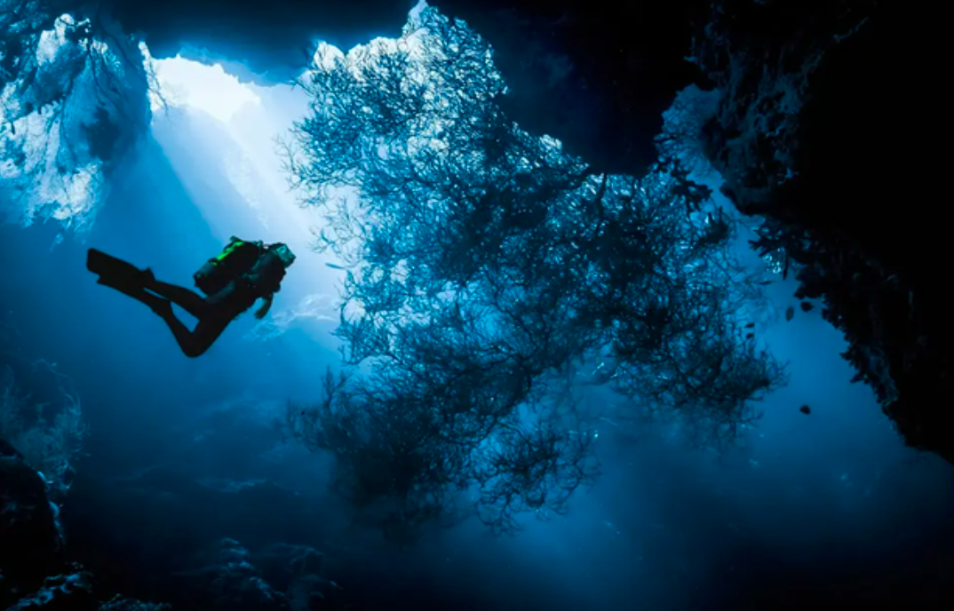 为什么害怕宇宙和深海（深海为什么比太空恐怖）(图2)