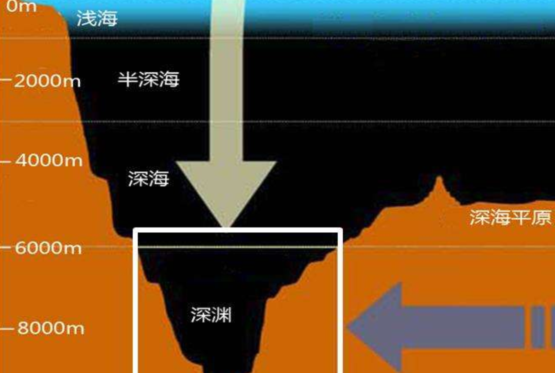 为什么害怕宇宙和深海（深海为什么比太空恐怖）(图4)