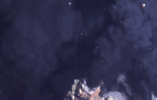为什么害怕宇宙和深海（深海为什么比太空恐怖）(图8)