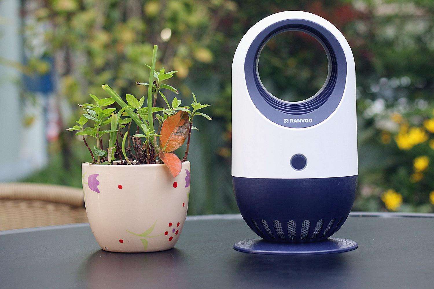 美国释放数亿转基因蚊,究竟意欲何为-(蚊子是怎么产生的)(图6) 美国释放数亿转基因蚊,究竟意欲何为-(蚊子是怎么产生的)(图6)