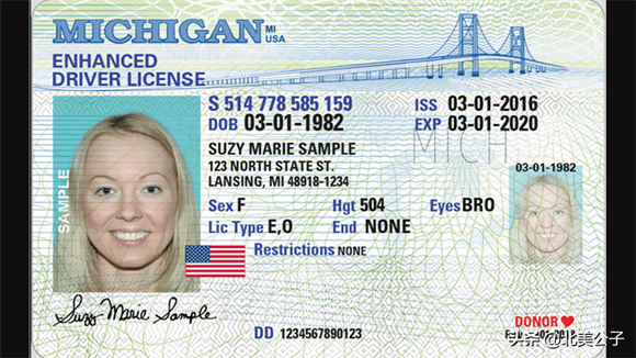 美国驾照全集（50个州，1个特区，2个领地）