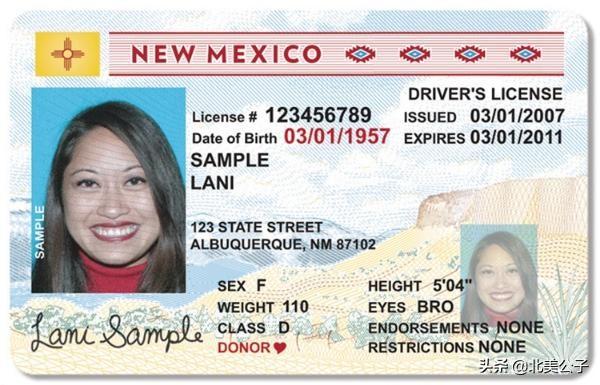 美国驾照全集（50个州，1个特区，2个领地）