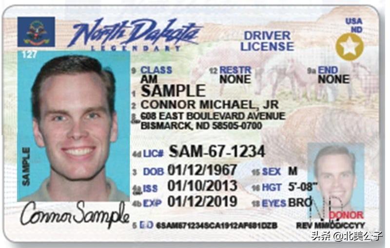 美国驾照全集（50个州，1个特区，2个领地）