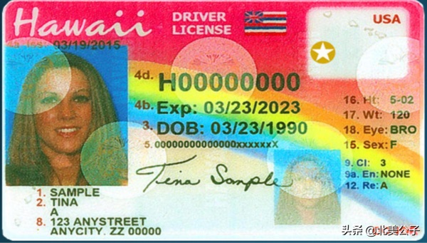 美国驾照全集（50个州，1个特区，2个领地）