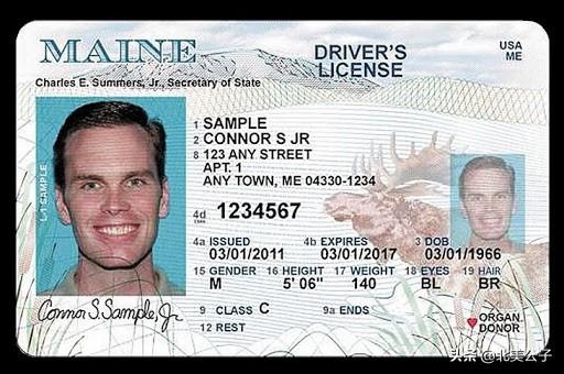 美国驾照全集（50个州，1个特区，2个领地）