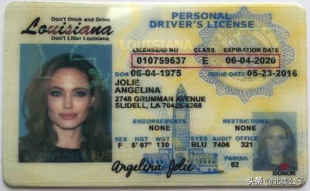 美国驾照全集（50个州，1个特区，2个领地）