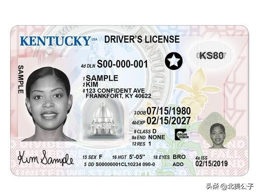 美国驾照全集（50个州，1个特区，2个领地）