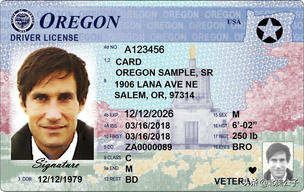 美国驾照全集（50个州，1个特区，2个领地）