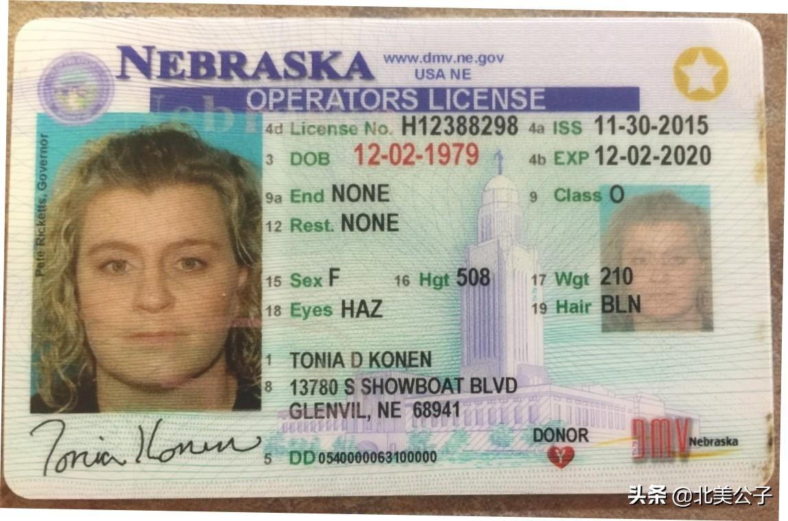 美国驾照全集（50个州，1个特区，2个领地）