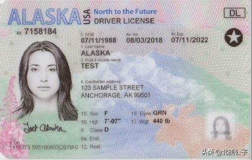 美国驾照全集（50个州，1个特区，2个领地）