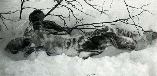 黑拉我山神奇牺牲事变，证明1959年2月爬山者普遍牺牲之谜