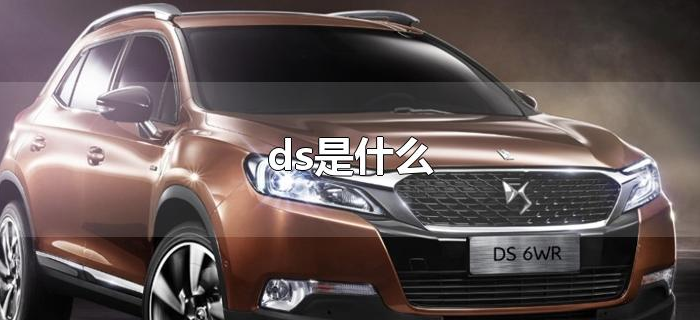 ds是什么 ds是什么