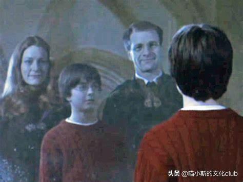 哈利波特的各个家族（看过波特的家族史才知道）(1)