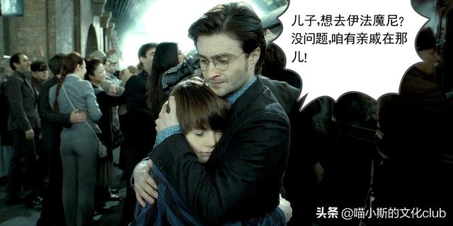 哈利波特的各个家族（看过波特的家族史才知道）(7)