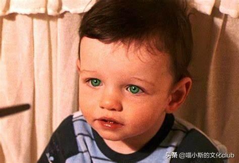 哈利波特的各个家族（看过波特的家族史才知道）(11)