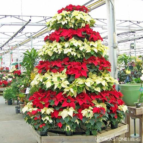 花艺风格作品欣赏（20款圣诞花艺创意设计拿去）(19)