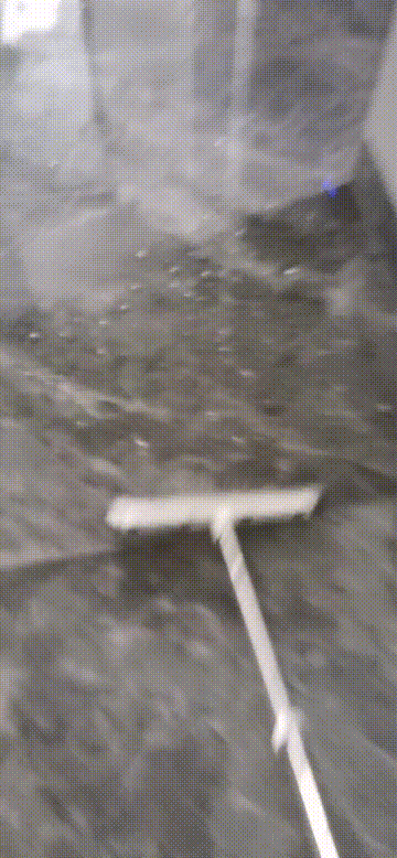 回南天防潮最好方法(防潮除湿小妙招)(4)