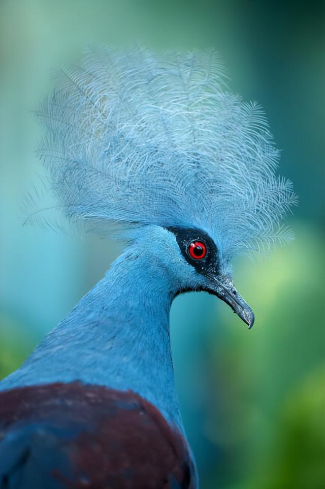 尼康z9实战纪实（尼康Z9评测2）(6)