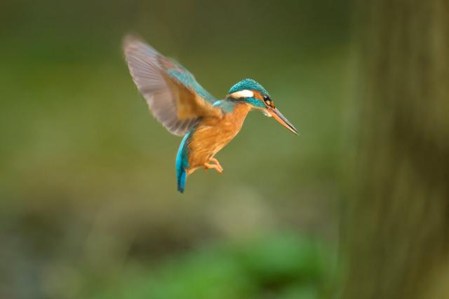 尼康z9实战纪实（尼康Z9评测2）(9)