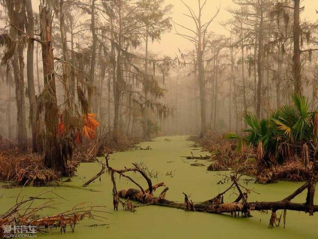盗墓笔记蛇沼鬼城在哪里（盗墓笔记蛇沼鬼城真的存在）(8)