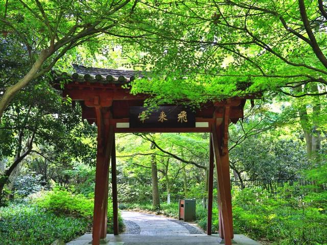杭州游玩必去20大景点(杭州游玩必去20大景点)(38)