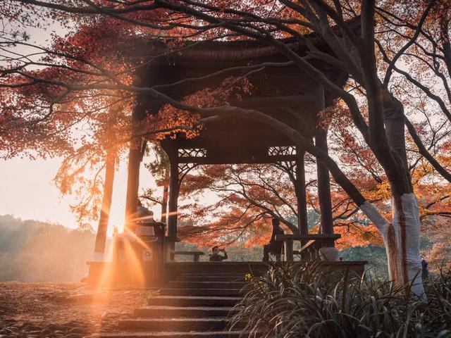 杭州游玩必去20大景点(杭州游玩必去20大景点)(14)