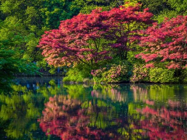 杭州游玩必去20大景点(杭州游玩必去20大景点)(18)