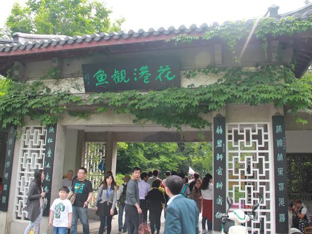 杭州游玩必去20大景点(杭州游玩必去20大景点)(35)