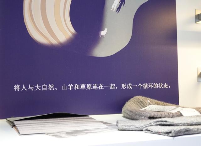 鄂尔多斯羊绒简介(深度鄂尔多斯40年)(4)