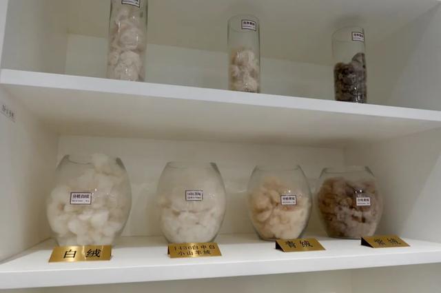 鄂尔多斯羊绒简介(深度鄂尔多斯40年)(5)