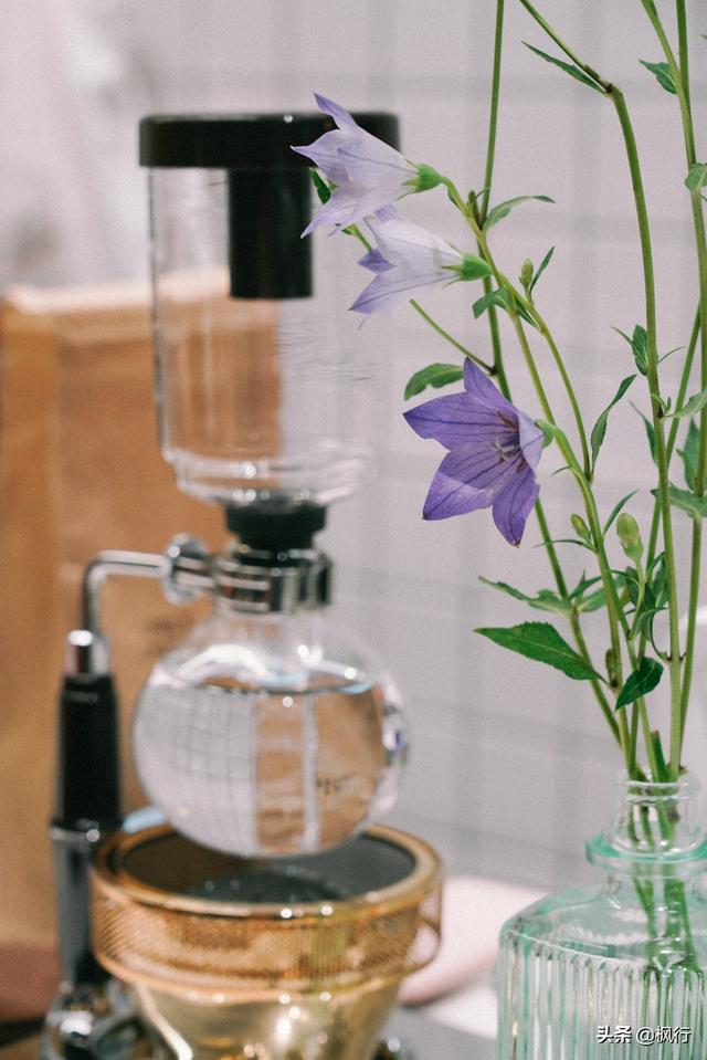 咖啡店什么咖啡最好喝最正宗(隐藏在北京朝阳区的这5家精品咖啡)(15)