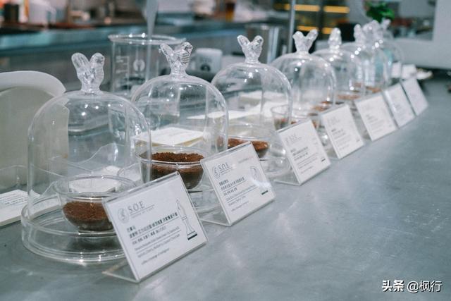 咖啡店什么咖啡最好喝最正宗(隐藏在北京朝阳区的这5家精品咖啡)(9)