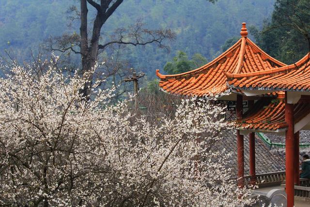 南昌有哪些网红打卡地(原来南昌这么好玩)(14)