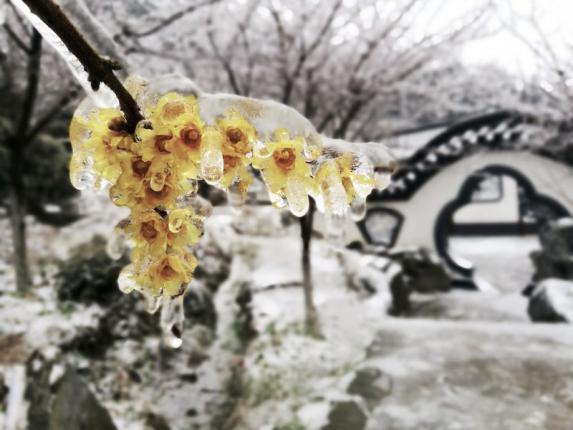 南昌有哪些网红打卡地(原来南昌这么好玩)(13)