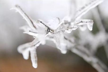 南昌有哪些网红打卡地(原来南昌这么好玩)(16)