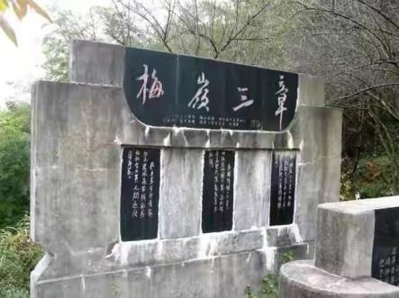 南昌有哪些网红打卡地(原来南昌这么好玩)(17)