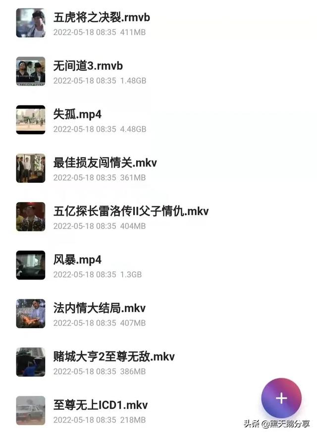 刘德华电影大全150部（影剧分享之87部刘德华电影合集）(2)