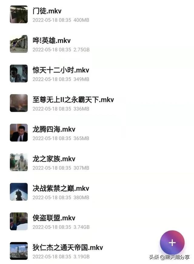 刘德华电影大全150部（影剧分享之87部刘德华电影合集）(5)