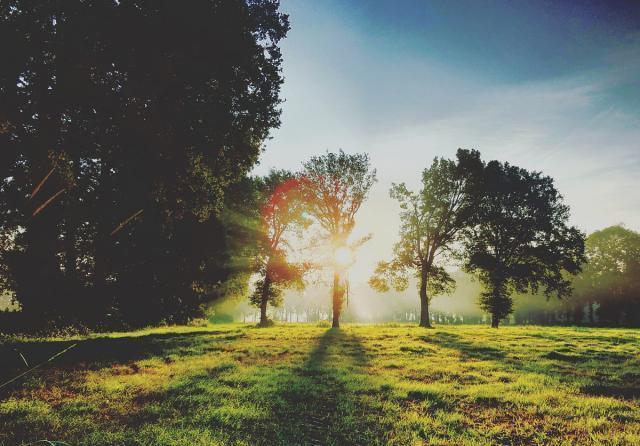 从面相怎么看出你的性格（识人术面佳不如头佳）(5)