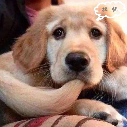 高智商人的特征表现（心理学告诉你高智商人的6大特征）(5)